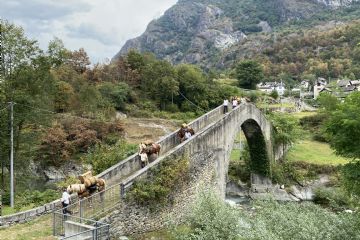 Passaggio della Carovana della Sbrinz Route 2025 - Festa dei someggiatori